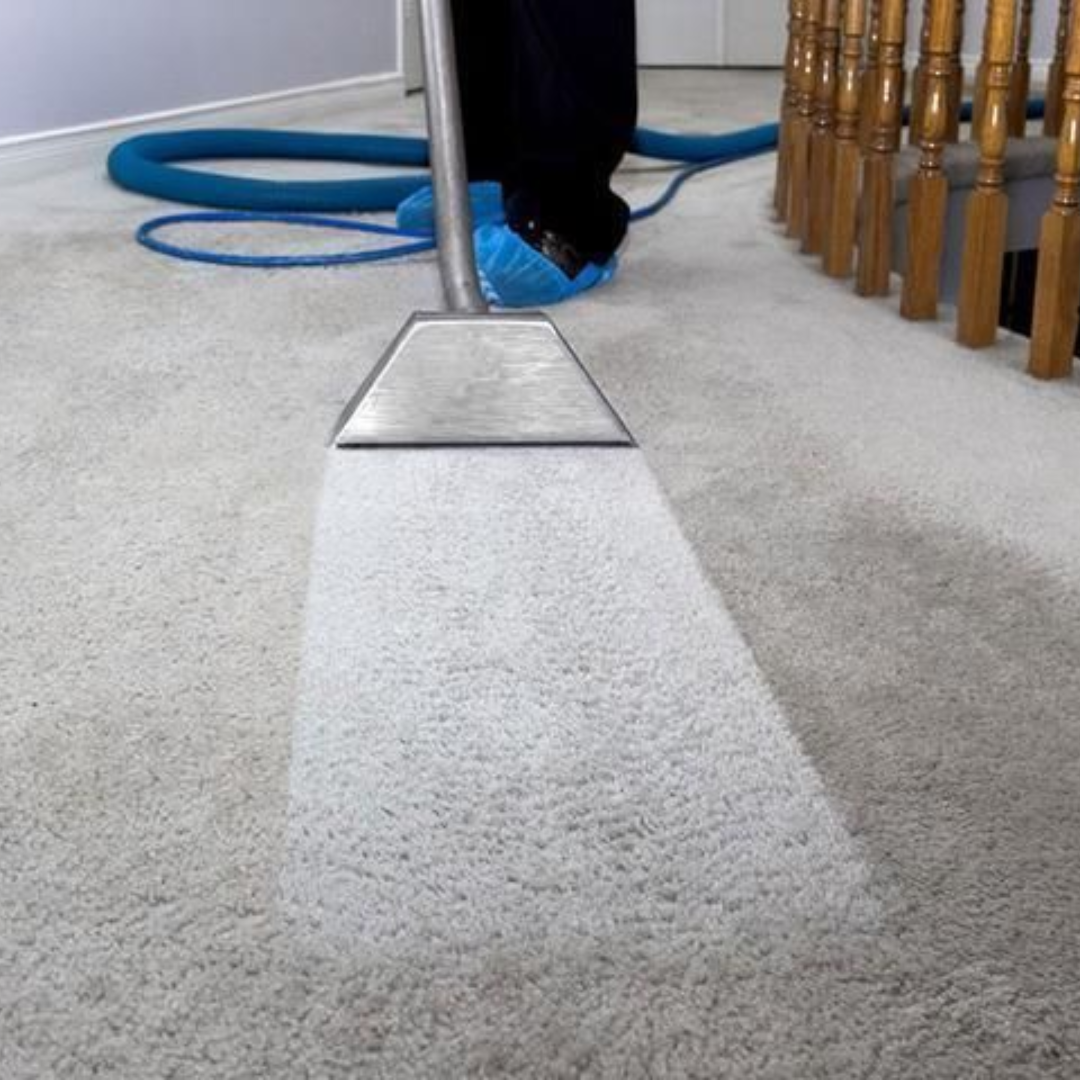 Carpet Cleaning
